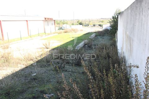 Terra a Arraiolos, Evora, Arraiolos - € 50.000 | Ref: 048690 - foto 4