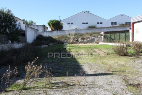 Terra a Arraiolos, Evora, Arraiolos - € 50.000 | Ref: 048690 - foto 5