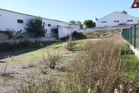 Terra a Arraiolos, Evora, Arraiolos - € 50.000 | Ref: 048690 - foto 6