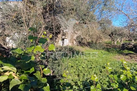 Byhus i Nisa, Portalegre, Nisa - € 70.000 | Ref: 049162 - foto 12