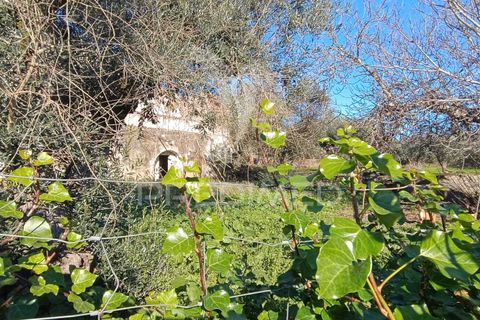 Byhus i Nisa, Portalegre, Nisa - € 70.000 | Ref: 049162 - foto 13