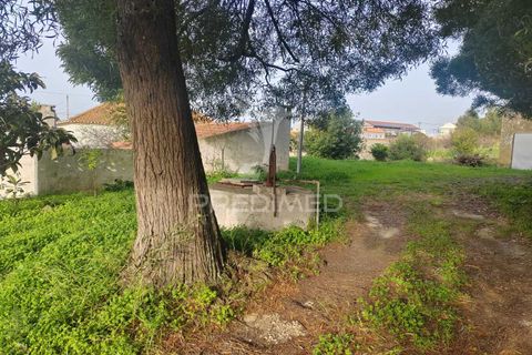 Farm hus i Torres Vedras, Lisbon, Torres Vedras - € 540.000 | Ref: 049201 - foto 7