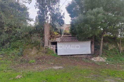 Farm hus i Torres Vedras, Lisbon, Torres Vedras - € 540.000 | Ref: 049201 - foto 8
