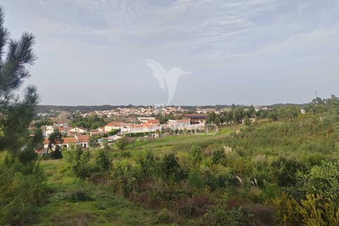 Farm hus i Torres Vedras, Lisbon, Torres Vedras - € 540.000 | Ref: 049201 - foto 11