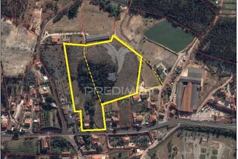 Farm hus i Torres Vedras, Lisbon, Torres Vedras - € 540.000 | Ref: 049201 - foto 14