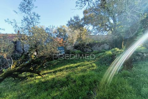 Byhus i Batalha, Leiria, Batalha - € 80.000 | Ref: 049582 - foto 7