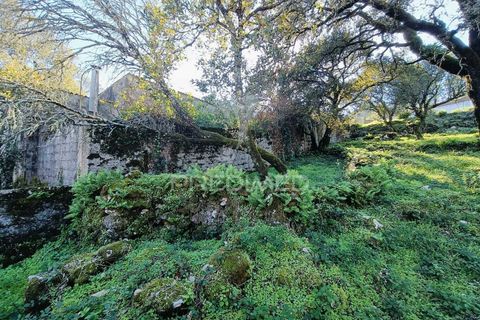 Byhus i Batalha, Leiria, Batalha - € 80.000 | Ref: 049582 - foto 8