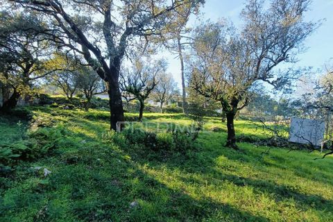 Byhus i Batalha, Leiria, Batalha - € 80.000 | Ref: 049582 - foto 10