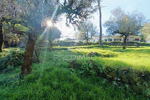 Byhus i Batalha, Leiria, Batalha - € 80.000 | Ref: 049582 - foto 11