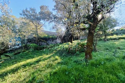 Byhus i Batalha, Leiria, Batalha - € 80.000 | Ref: 049582 - foto 12