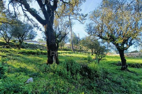 Byhus i Batalha, Leiria, Batalha - € 80.000 | Ref: 049582 - foto 16