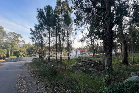 Helårsgrund i Vila Verde, Braga, Vila Verde - € 105.000 | Ref: 049642 - foto 3