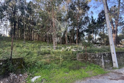Helårsgrund i Vila Verde, Braga, Vila Verde - € 105.000 | Ref: 049642 - foto 9