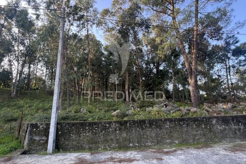 Helårsgrund i Vila Verde, Braga, Vila Verde - € 105.000 | Ref: 049642 - foto 10