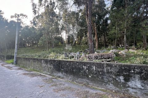 Helårsgrund i Vila Verde, Braga, Vila Verde - € 105.000 | Ref: 049642 - foto 11