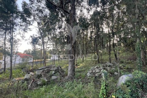 Helårsgrund i Vila Verde, Braga, Vila Verde - € 105.000 | Ref: 049642 - foto 12
