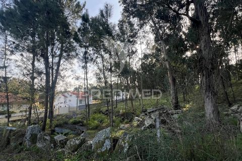 Helårsgrund i Vila Verde, Braga, Vila Verde - € 105.000 | Ref: 049642 - foto 13