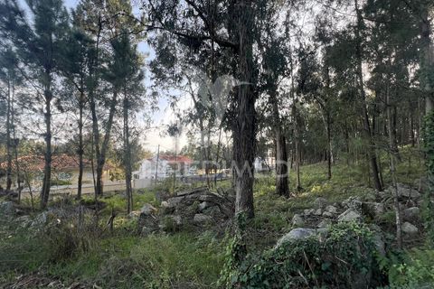 Helårsgrund i Vila Verde, Braga, Vila Verde - € 105.000 | Ref: 049642 - foto 14