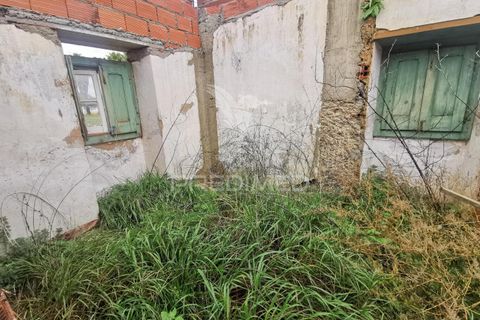 Byhus i Golega, Santarem, Golega - € 65.000 | Ref: 050239 - foto 13