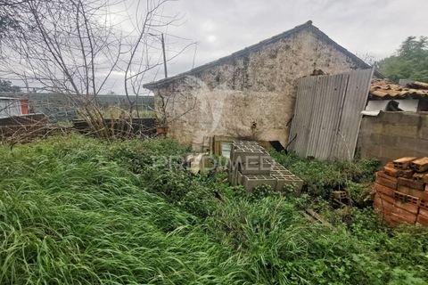 Byhus i Golega, Santarem, Golega - € 65.000 | Ref: 050239 - foto 16