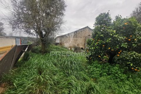 Byhus i Golega, Santarem, Golega - € 65.000 | Ref: 050239 - foto 17