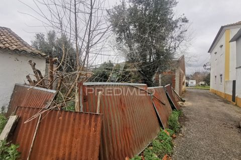 Byhus i Golega, Santarem, Golega - € 65.000 | Ref: 050239 - foto 18