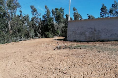 Helårsgrund i Agueda, Aveiro, Agueda - € 42.000 | Ref: 050714 - foto 2