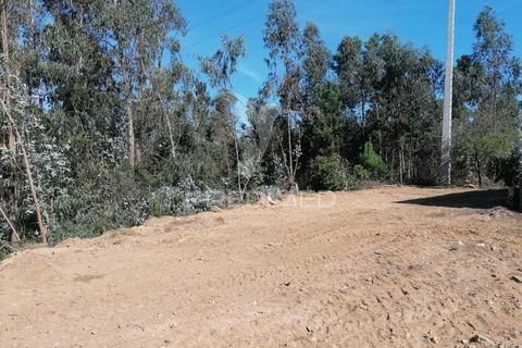 Helårsgrund i Agueda, Aveiro, Agueda - € 42.000 | Ref: 050714 - foto 3