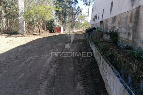 Helårsgrund i Agueda, Aveiro, Agueda - € 42.000 | Ref: 050714 - foto 7