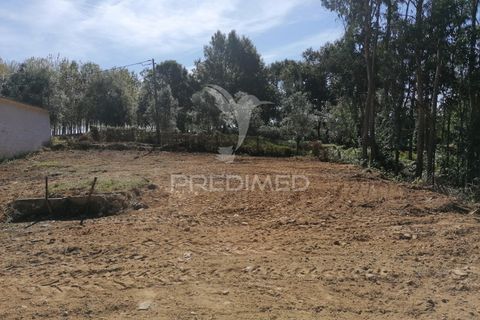 Helårsgrund i Agueda, Aveiro, Agueda - € 42.000 | Ref: 050714 - foto 9