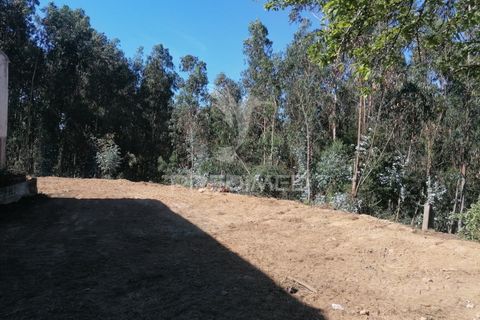 Helårsgrund i Agueda, Aveiro, Agueda - € 42.000 | Ref: 050714 - foto 10
