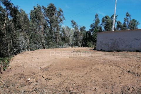 Helårsgrund i Agueda, Aveiro, Agueda - € 42.000 | Ref: 050714 - foto 12