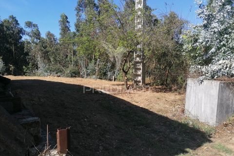 Helårsgrund i Agueda, Aveiro, Agueda - € 42.000 | Ref: 050714 - foto 13
