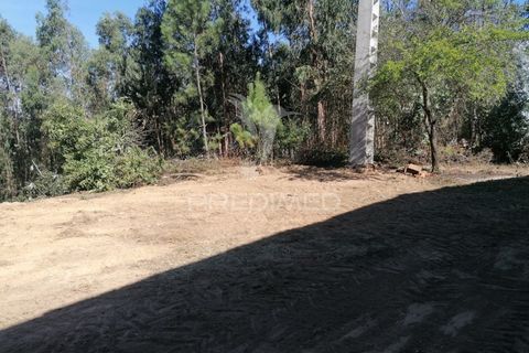 Helårsgrund i Agueda, Aveiro, Agueda - € 42.000 | Ref: 050714 - foto 14