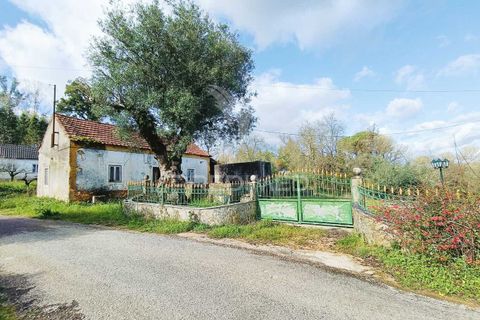 Byhus i Ourem, Santarem, Ourem - € 249.000 | Ref: 051140 - foto 38