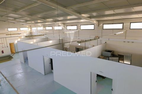 Erhvervsejendom i Redondo, Evora, Redondo - € 249.000 | Ref: 051251 - foto 7