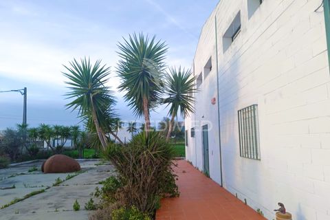 Erhvervsejendom i Redondo, Evora, Redondo - € 249.000 | Ref: 051251 - foto 16