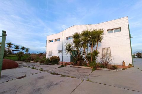 Erhvervsejendom i Redondo, Evora, Redondo - € 249.000 | Ref: 051251 - foto 17
