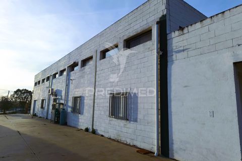 Erhvervsejendom i Redondo, Evora, Redondo - € 249.000 | Ref: 051251 - foto 18