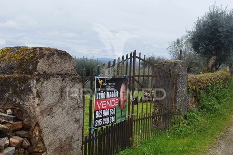 Terra a Castelo de Vide, Portalegre, Castelo de Vide - € 25.000 | Ref: 051256 - foto 2