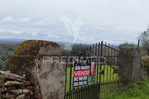 Terra a Castelo de Vide, Portalegre, Castelo de Vide - € 25.000 | Ref: 051256 - foto 3