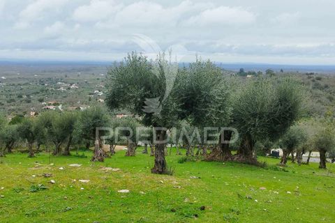 Terra a Castelo de Vide, Portalegre, Castelo de Vide - € 25.000 | Ref: 051256 - foto 6