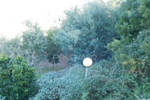 Terra a Mealhada, Aveiro, Mealhada - € 181.000 | Ref: 051326 - foto 11