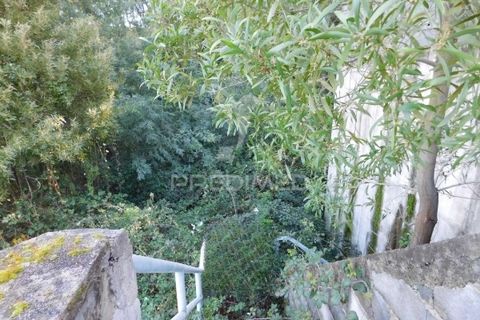 Terra a Mealhada, Aveiro, Mealhada - € 181.000 | Ref: 051326 - foto 12