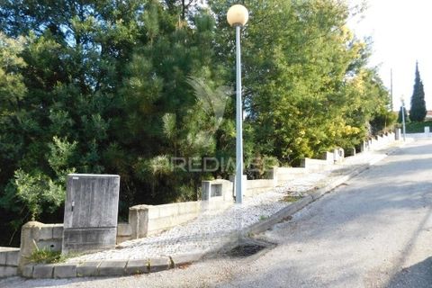 Terra a Mealhada, Aveiro, Mealhada - € 181.000 | Ref: 051326 - foto 13