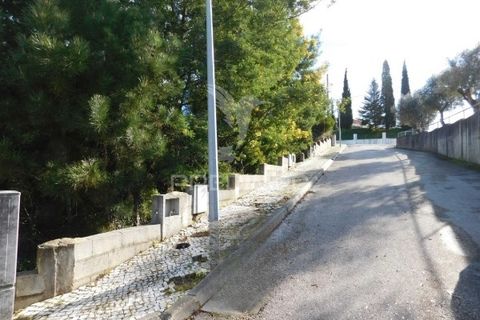 Terra a Mealhada, Aveiro, Mealhada - € 181.000 | Ref: 051326 - foto 14