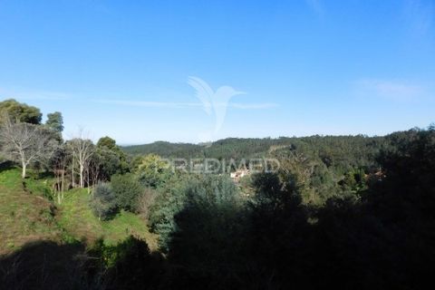 Terra a Mealhada, Aveiro, Mealhada - € 181.000 | Ref: 051326 - foto 15