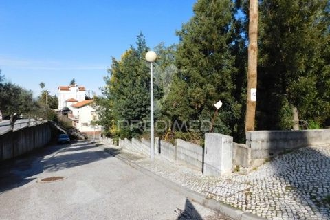 Terra a Mealhada, Aveiro, Mealhada - € 181.000 | Ref: 051326 - foto 16