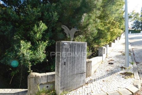 Terra a Mealhada, Aveiro, Mealhada - € 181.000 | Ref: 051326 - foto 18