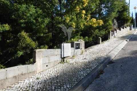 Terra a Mealhada, Aveiro, Mealhada - € 181.000 | Ref: 051326 - foto 19